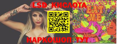 СК Абакан