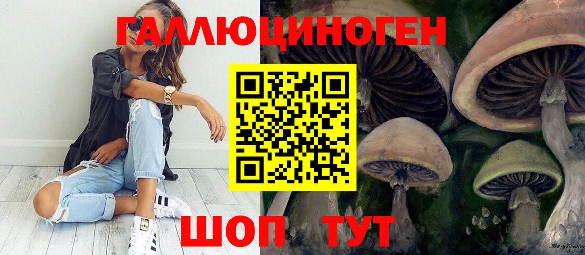 Галлюциногенные грибы GOLDEN TEACHER  Галлюциногенные грибы Psilocybine cubensis  Александров  Вход с VPN 